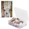 Natural Small Shell Collection with Starfish and Sea Snails view 2