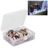 Natural Small Shell Collection with Starfish and Sea Snails view 4