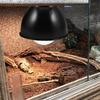 DOITOOL 183 cm Heat Lamp Shade, Metal Reflector Dome for Heat Lamps in Chicken Coops and Terrariums, Protective Cover for Reptile and Poultry Cages view 4
