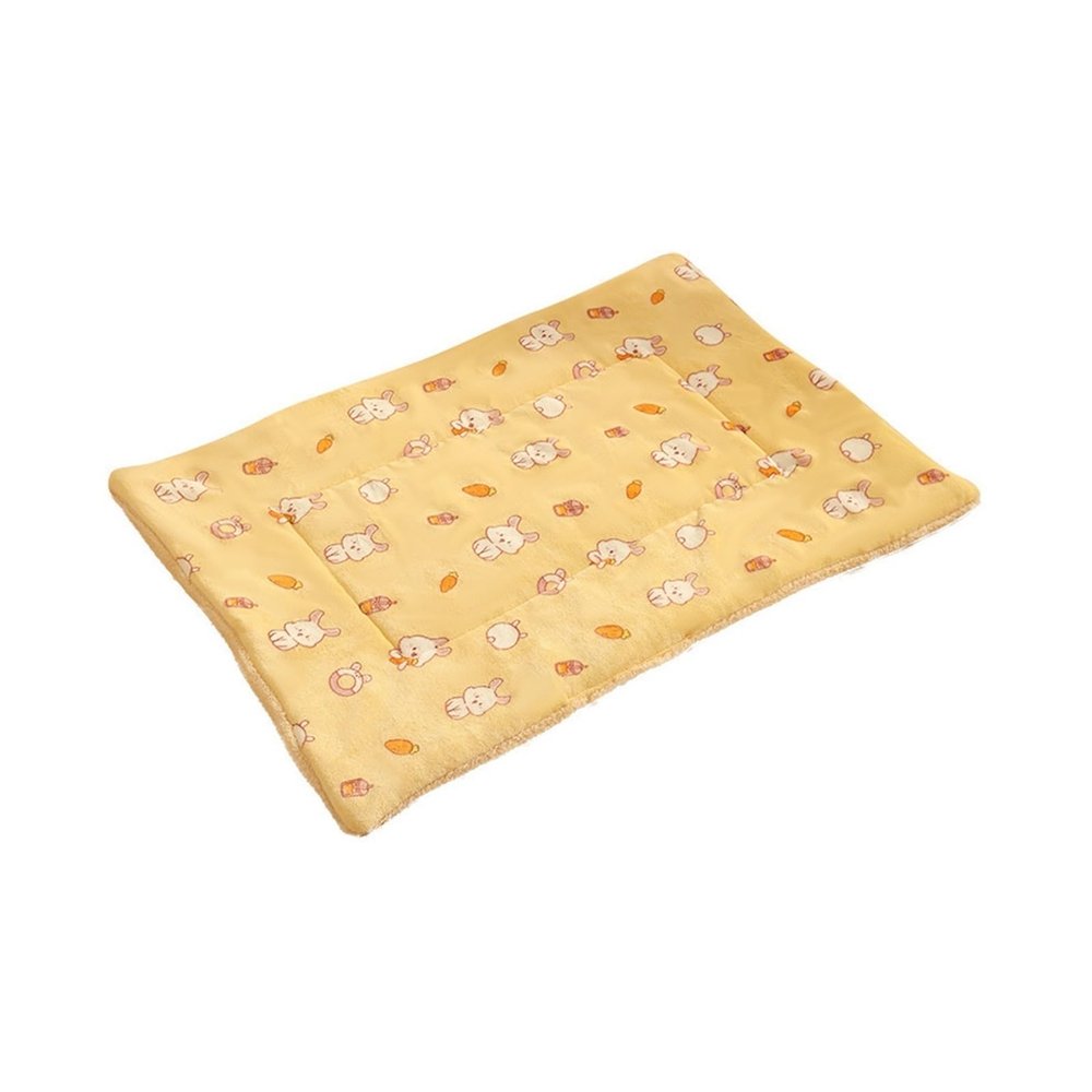 EUIYCBA Ultra-Soft Pet Blanket and Mat, Reversible Plush Bed for Dogs and Cats, All Seasons, Warm Fleece Sleeping Mat for Crate, Sofa and Travel (Style 2, L)