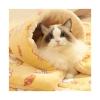 EUIYCBA Ultra-Soft Pet Blanket and Mat, Reversible Plush Bed for Dogs and Cats, All Seasons, Warm Fleece Sleeping Mat for Crate, Sofa and Travel (Style 2, L) view 4