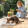 15° Slanted Non-Slip Cat Feeding Station view 2