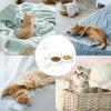 15° Slanted Non-Slip Cat Feeding Station view 4