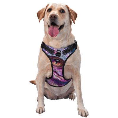 Dragon Design Dog Harness, No Pull, Adjustable, Reflective, Oxford, Easy Control, Size M/L, Pink/Blue