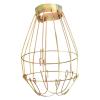 Ronyme Reptile Heat Lamp Protective Guard, Burn Protection, Gold-Colored, for Cages view 1