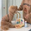 SENECESLI Cute Burn Dog Clothing view 1