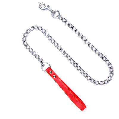 AlpenLife Basics Dog Leash for Walking with Chain