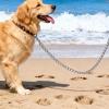 AlpenLife Basics Dog Leash for Walking with Chain view 2