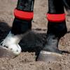 LED Horse Leg Bands, 4 Pack view 3
