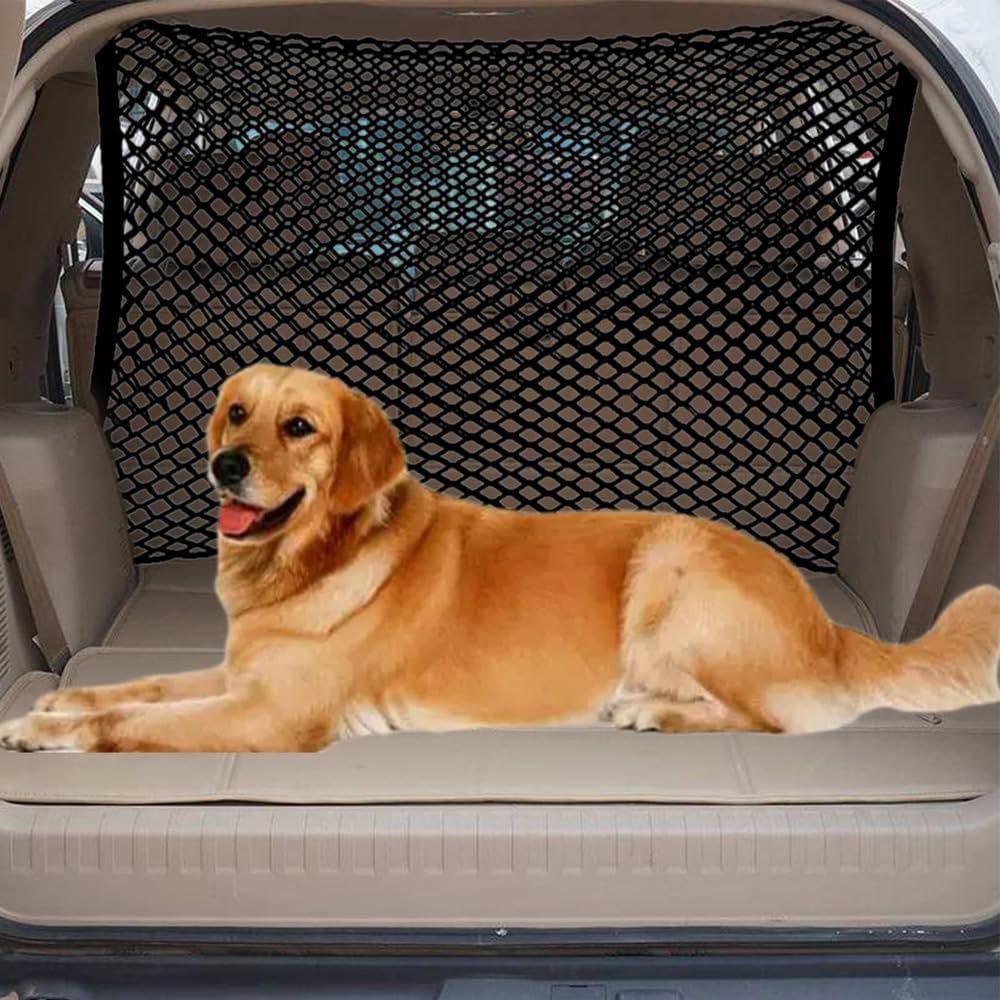 VVBUG Dog Barrier for Fuga (Y50) 1st Gen