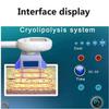 ANXYYDS Cryolipolysis Fat-Freezing Body-Slimming Machine with 2 Handles view 4