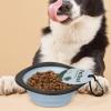 Foldable Portable Dog Bowl for Food and Water view 4