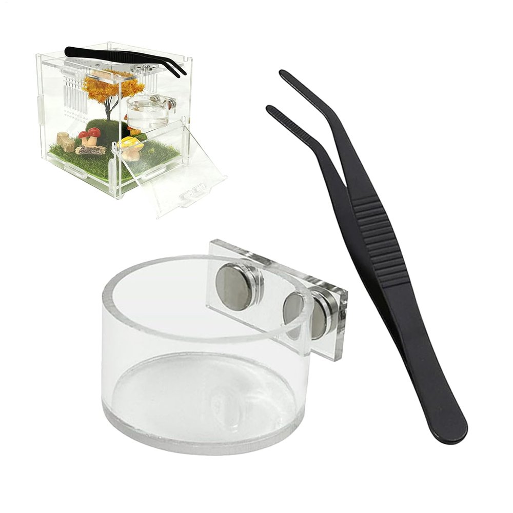 Uonguon Jumping Spider Feeding Bowl & Water Dispenser Set
