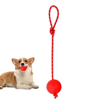 Dog Rope Ball Toy