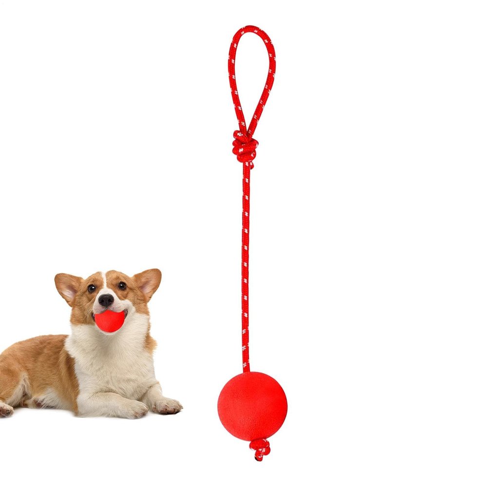 Dog Rope Ball Toy