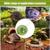 Turtle Costume for Small Reptiles & Pets view 4