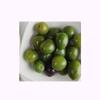 Ca Spanish Green Olives, Premium Quality, 600 g Cube Pack, Pack of 3 view 1