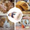 Ldduopp Hamster Bed - Winter Plush Sleep Nest view 4