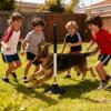 Multifunctional Speed Training Sticks, Portable, Fast and Stable, 24 in, Height-Adjustable | Baseball view 2