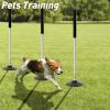Multifunctional Speed Training Sticks, Portable, Fast and Stable, 24 in, Height-Adjustable | Baseball view 4
