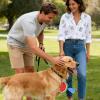 Portable Pet Waste Holder view 4