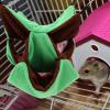 Toyvian Creative Guinea Pig Bed view 4