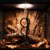 Mwqpgyh Snake Terrarium Climbing Ring Accessory view 2