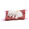 Aoresac Plush Cat Toy view 1