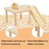 Kisstta Wooden Hamster Platform with Climbing Ladder view 2