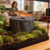 Resin Snake Cave Reptile Habitat Accessory view 2