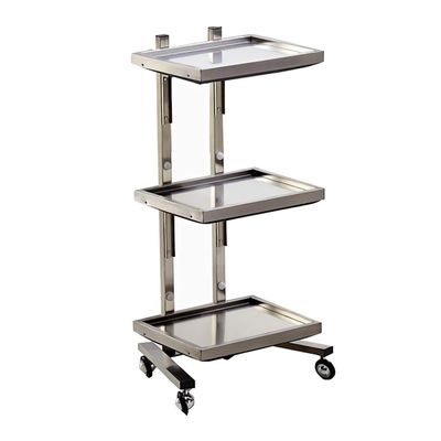 SXYKXYDL Stainless Steel Hair Salon Trolley with Folding Table, H/Silver