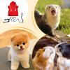 Ferret Sweater, Soft Hamster Outfit with Harness view 4