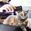 Pet Grooming Comb - 19cm Carbon Fiber with 10 Blades view 4