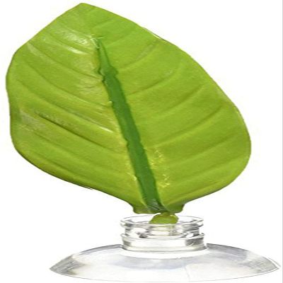 Betta Fish Hammock