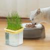 Generic Cat Growth Box for Seeds 9 x 9 x 10 cm view 3