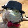 alloneslife Lizard Traction Leash Bowtie view 4