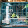 DECHOUS Automatic Bird Water Dispenser 130ml view 4