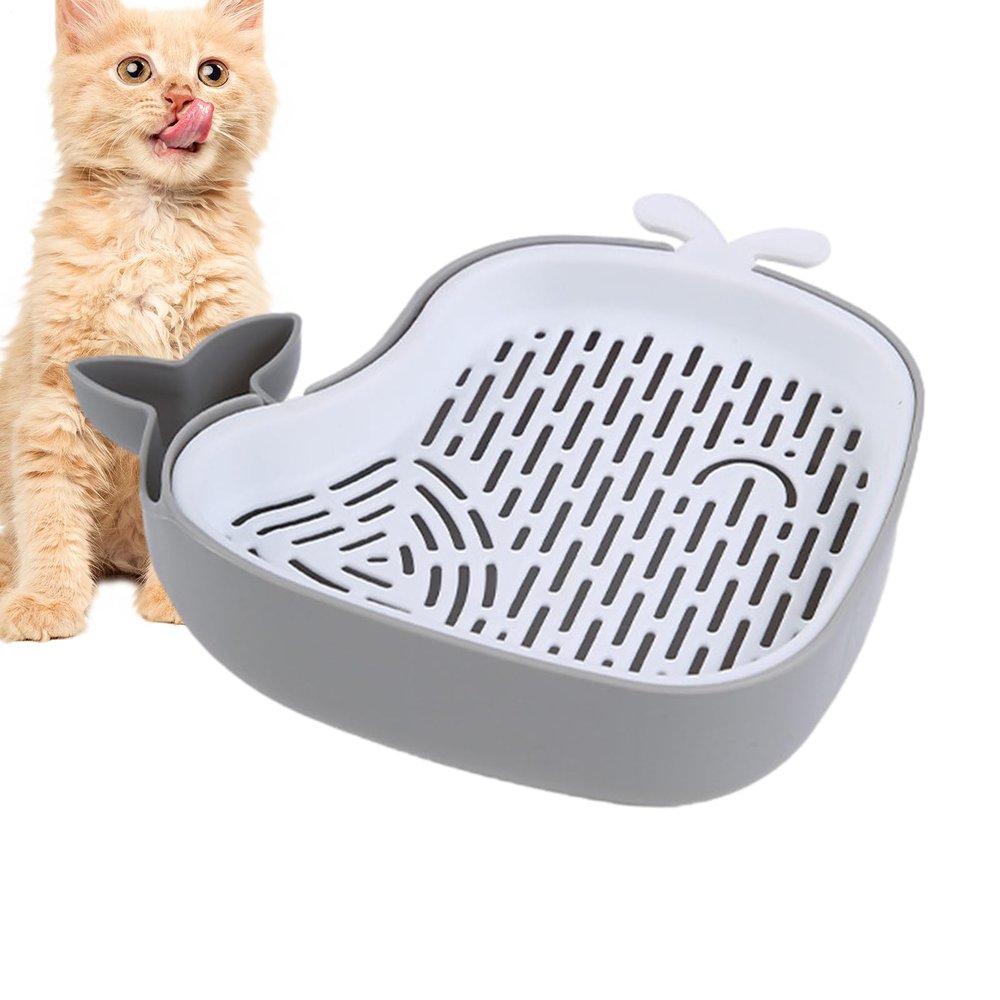 Gnrique Cat Grass Planter - Hydroponic Kit