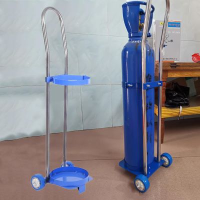 Indoor Oxygen Cylinder Holder with Wheels, Lightweight Oxygen Cylinder Stand and Cart, Multifunctional Gas Storage Rack (80 cm/31.5 in)