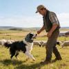Dog Ear Protection, Hooded, Waterproof view 3