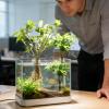 Hanging Holder for Aquatic Plants, Transparent Aquarium Plant Stand view 3