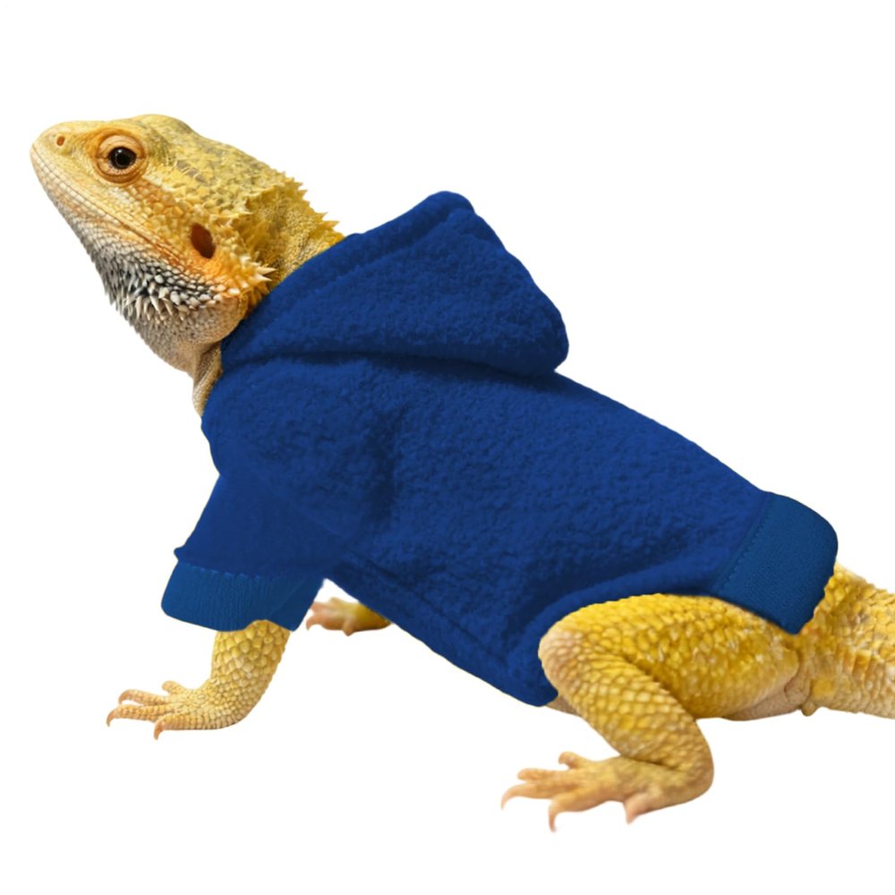 Handmade Soft Bearded Dragon Clothing