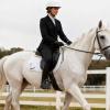 Safety Stirrups for Equestrian Sports, Non-Slip Equipment view 2