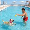 Waterproof Protective Cover for Dog Ears view 2