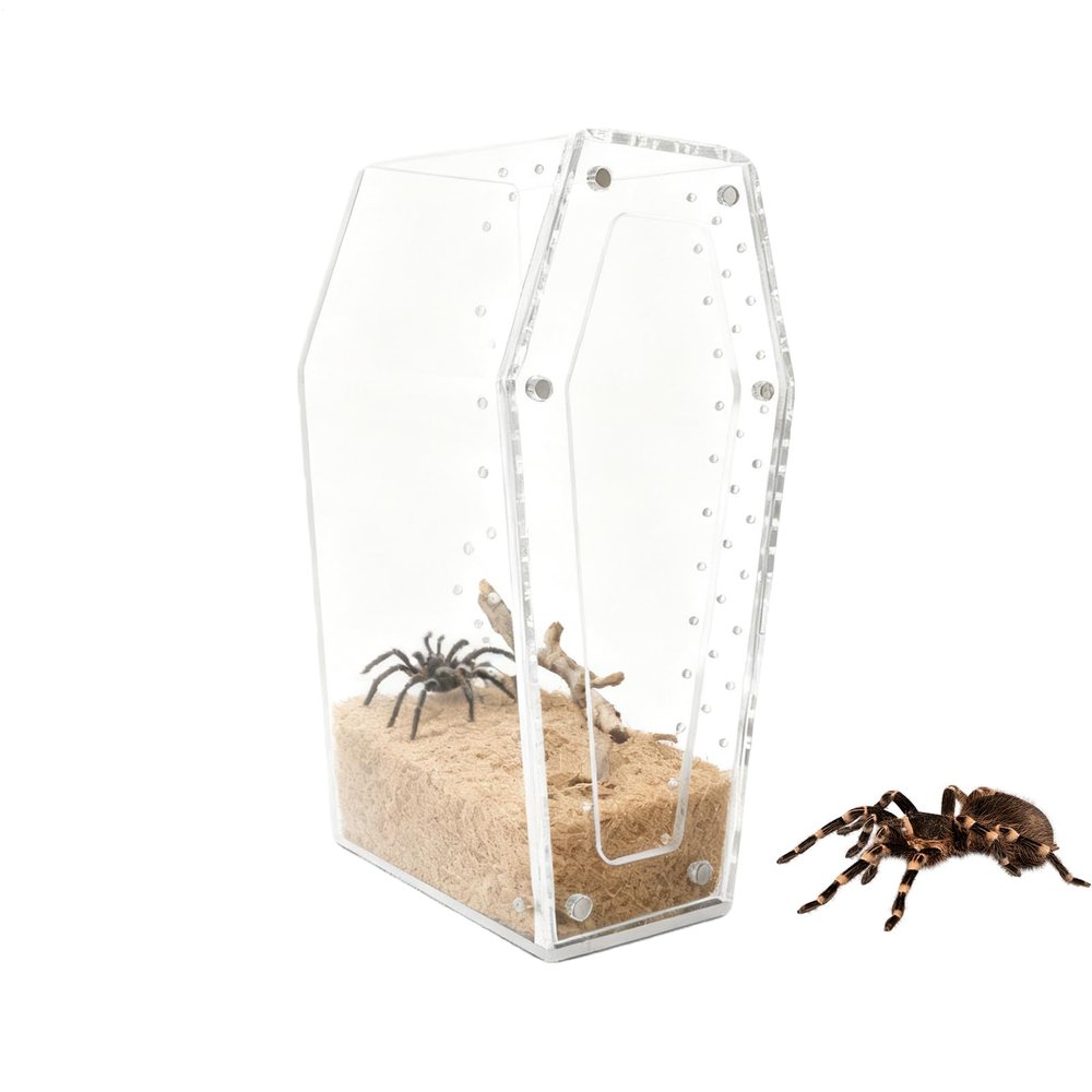 Protoence Clear Acrylic Jumping Spider Terrarium – Small Reptile Breeding Container