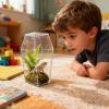 Protoence Clear Acrylic Jumping Spider Terrarium – Small Reptile Breeding Container view 3