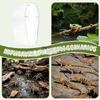 Protoence Clear Acrylic Jumping Spider Terrarium – Small Reptile Breeding Container view 4