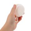 VICASKY 2-Piece Silicone Pet Bath Brushes view 4