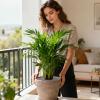 Cat-Proof Plant Protection Mesh for Flower Pots view 2