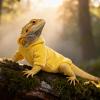 GTFYUDGH Bearded Dragon Outfit | Handmade Soft Reptile Coat view 3
